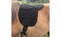 5_saddles